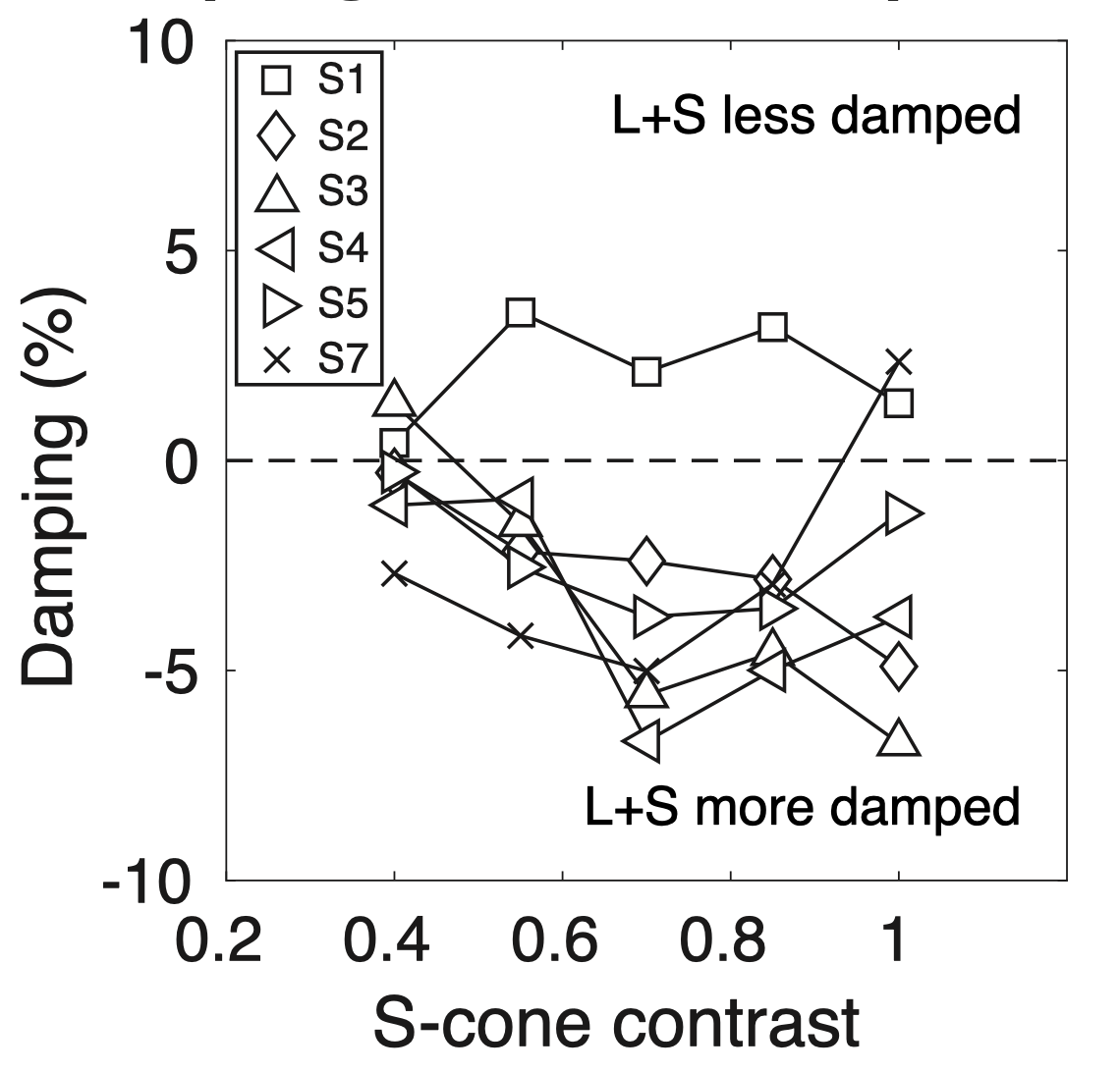 example image
